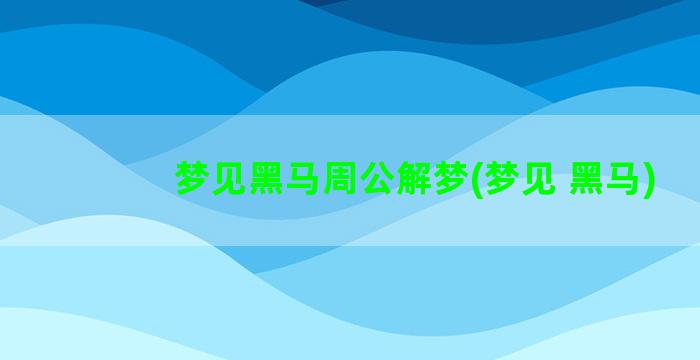 梦见黑马周公解梦(梦见 黑马)